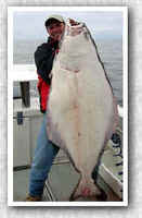 A very nice Sitka halibut.