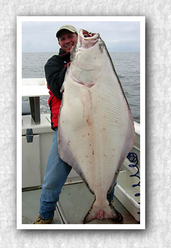 A very nice Sitka halibut.